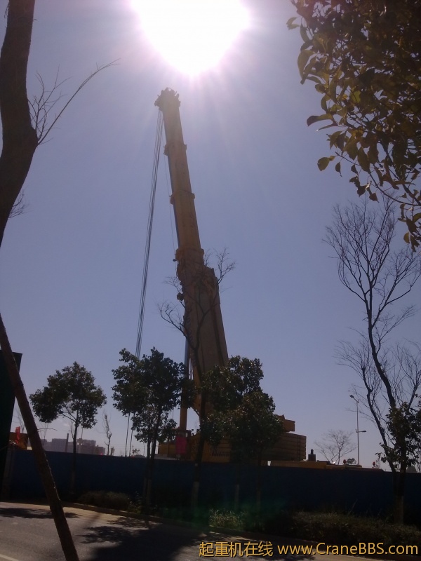 20110125046.jpg