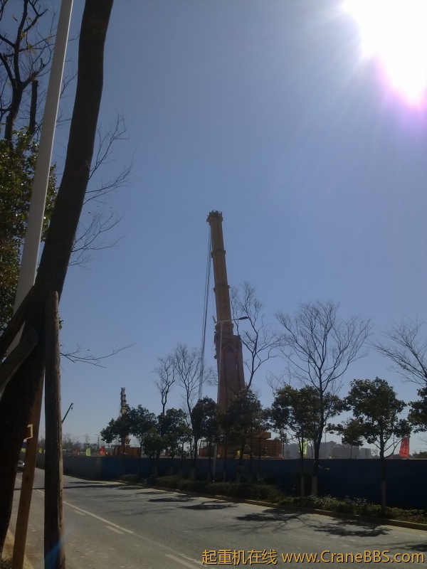 20110125047.jpg