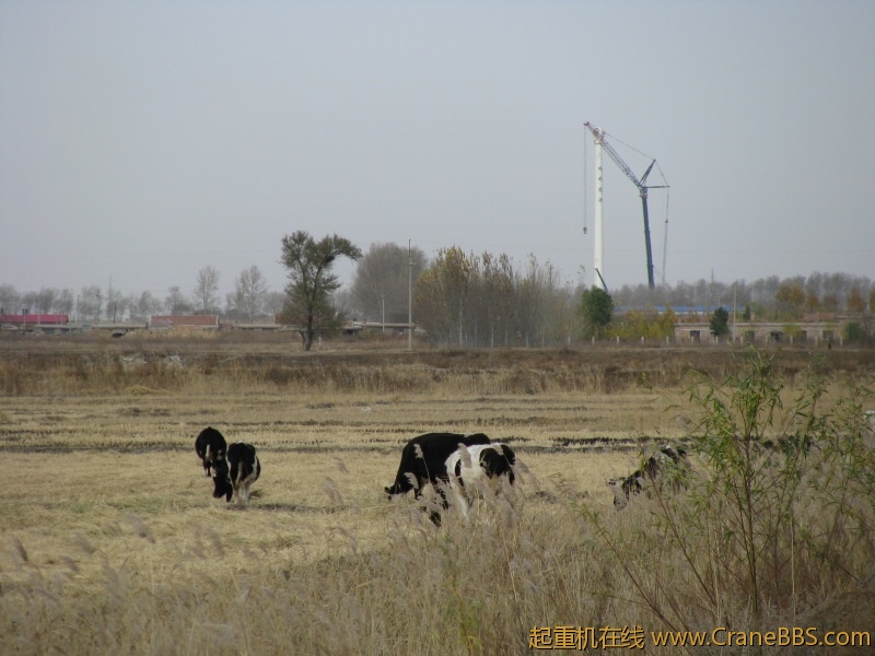 远处是我的吊车