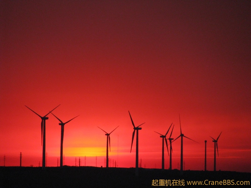 大草原的美景 382.jpg