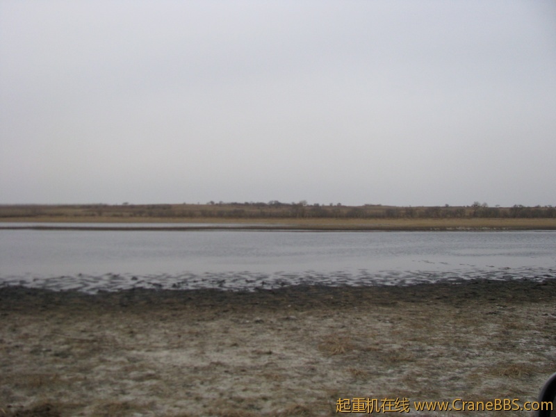 大草原的美景 363.jpg