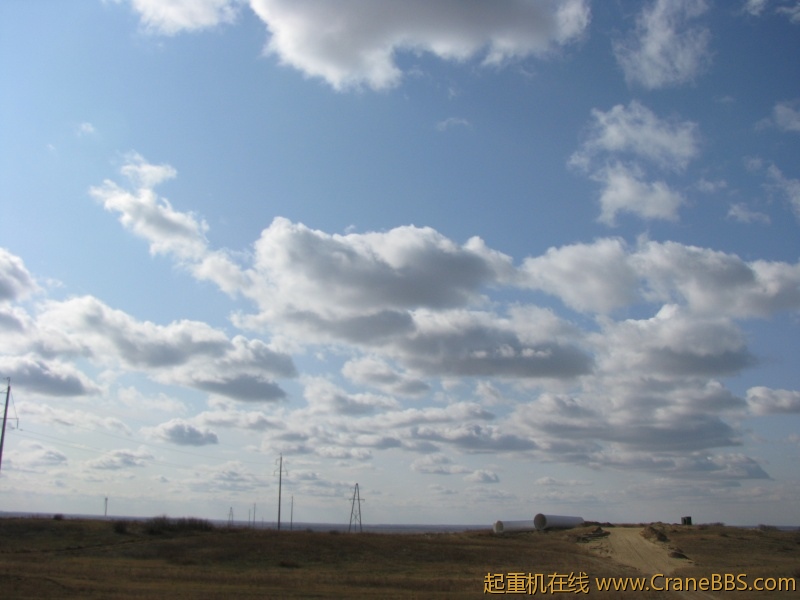 大草原的美景 267.jpg