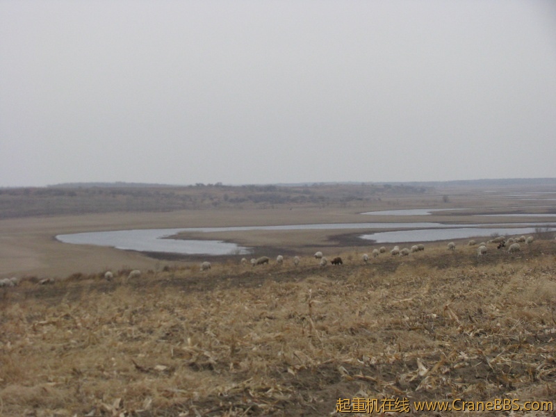 大草原的美景 357.jpg