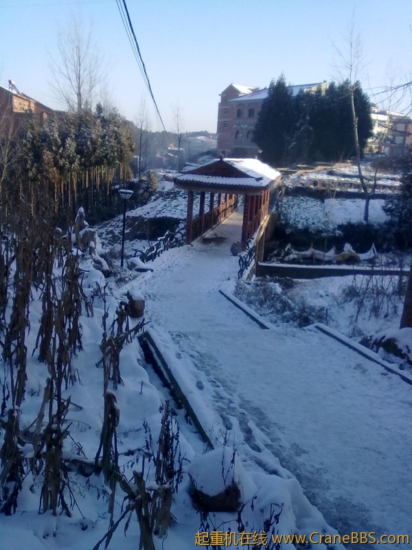 20101217009.jpg