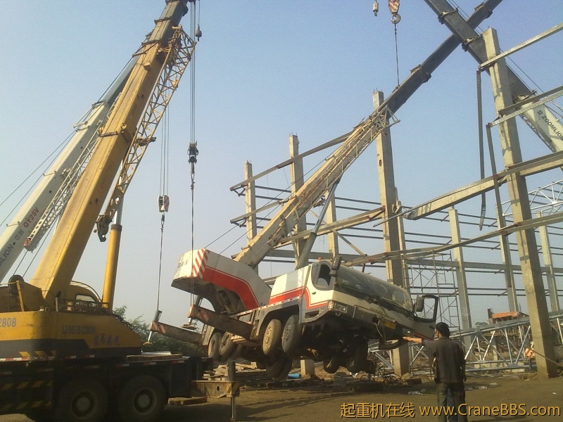 20101113078.jpg