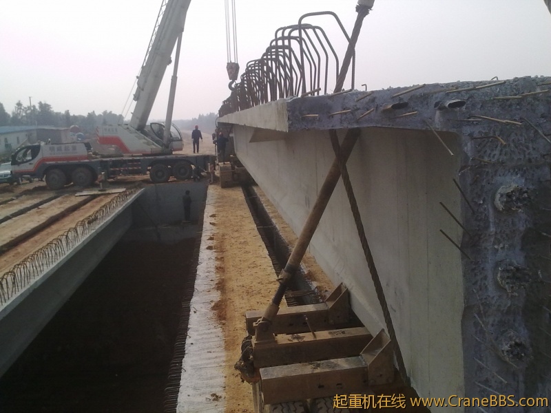 20110129049.jpg