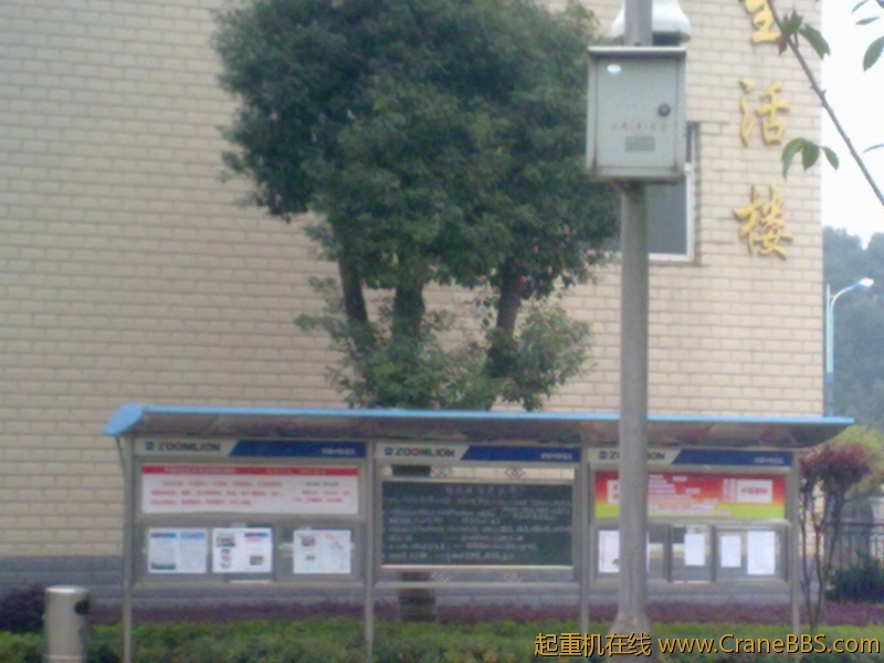 20101124047.jpg