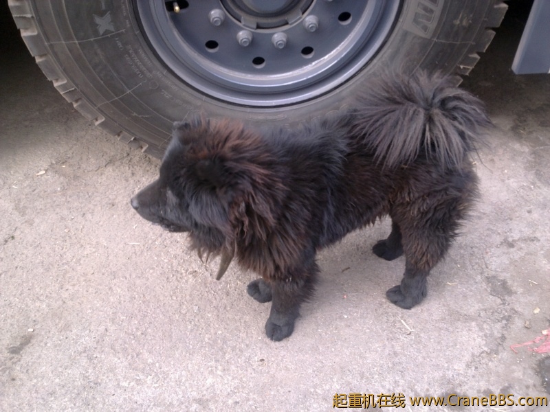 20110201133.jpg