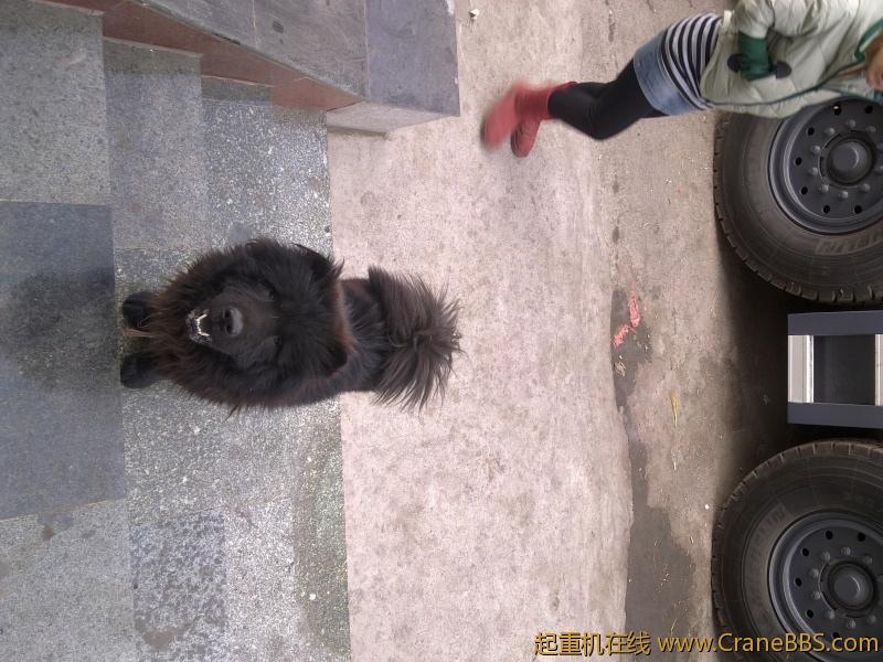 20110201134.jpg