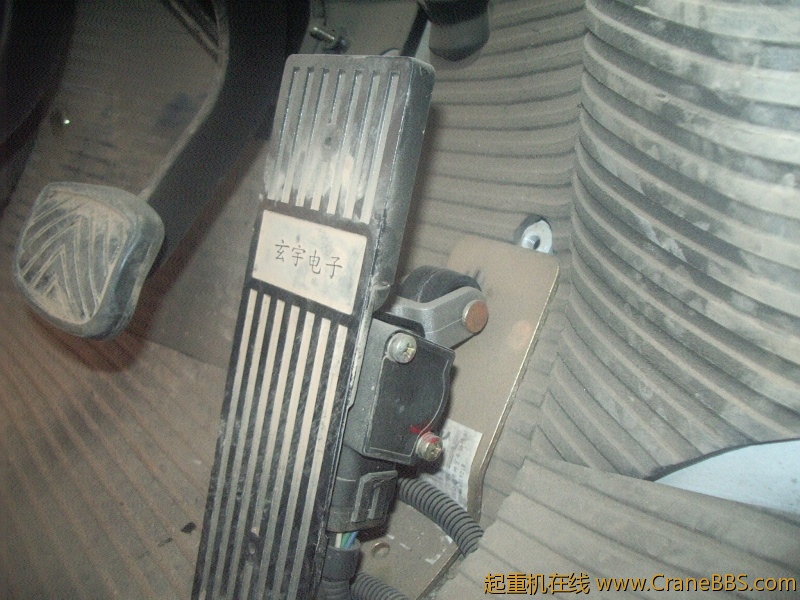 IMGP8785.JPG