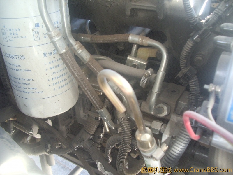 IMGP8793.JPG