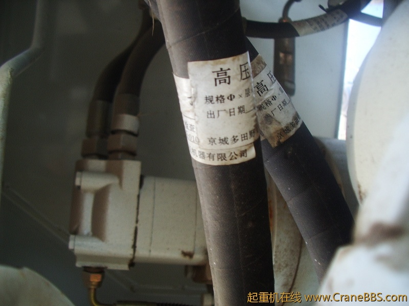 IMGP8857.JPG