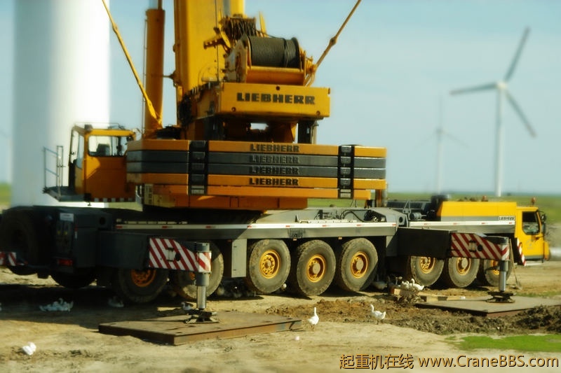 nEO_IMG_DSC09451.jpg