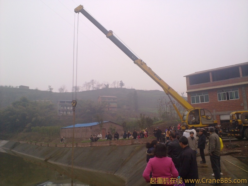 20110212264.jpg