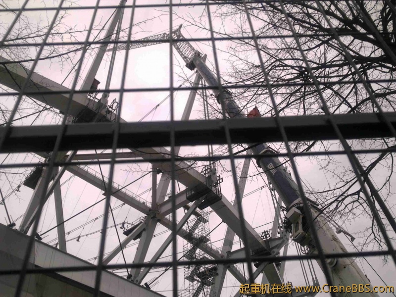 20110211136.jpg