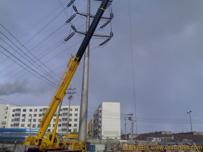 20100305207.jpg