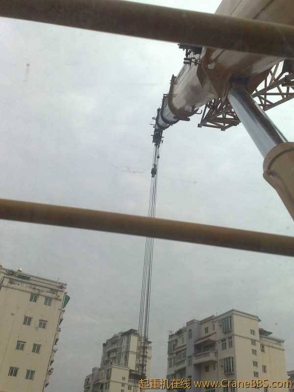 20110214725.jpg