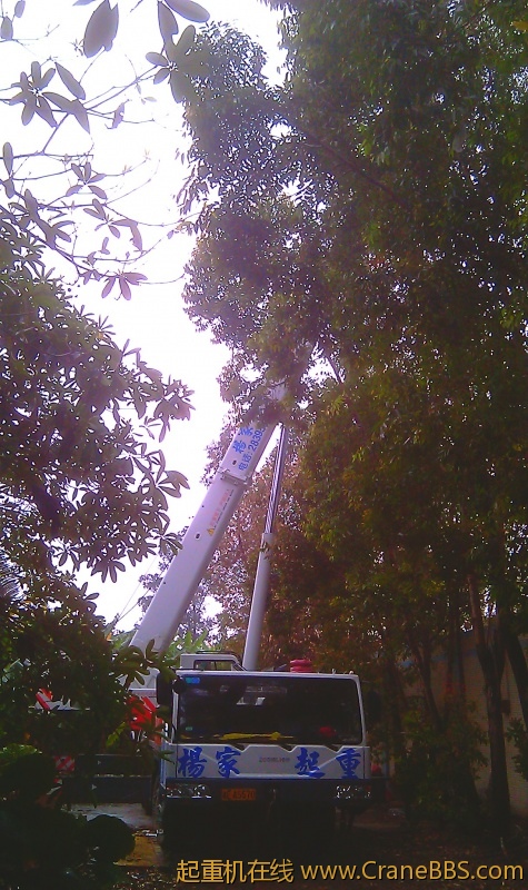 IMAG0099.jpg