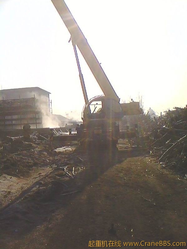 IMG0206A.jpg