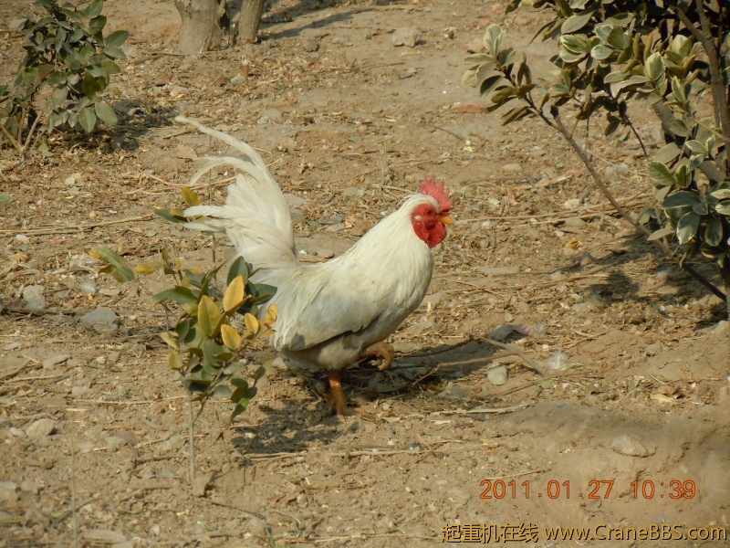 照片女儿 106.jpg