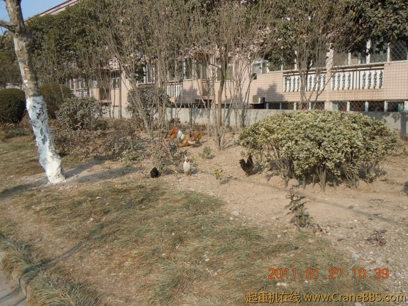 照片女儿 105.jpg