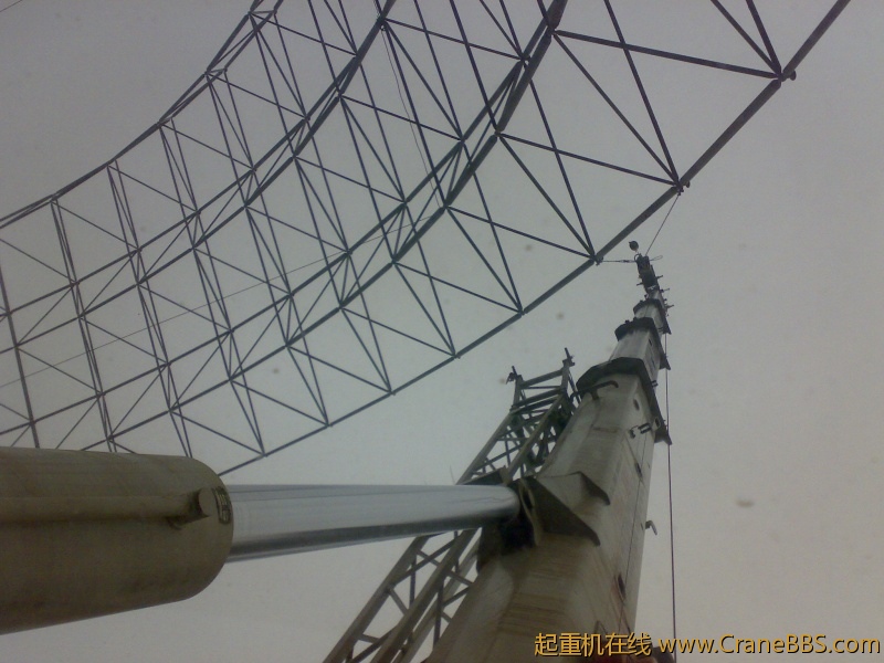 20110224854.jpg