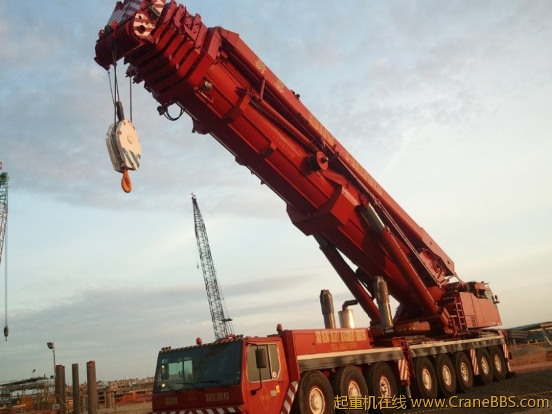 crane 10.jpg