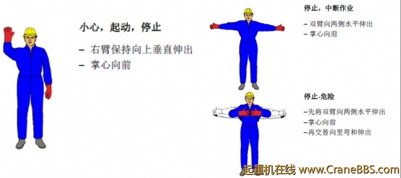 1_conew1.jpg