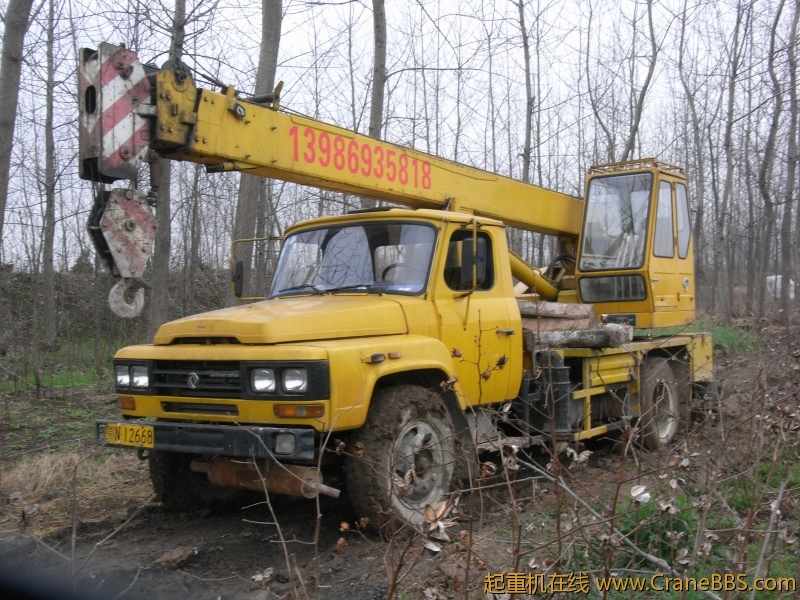 RIMG1244.JPG