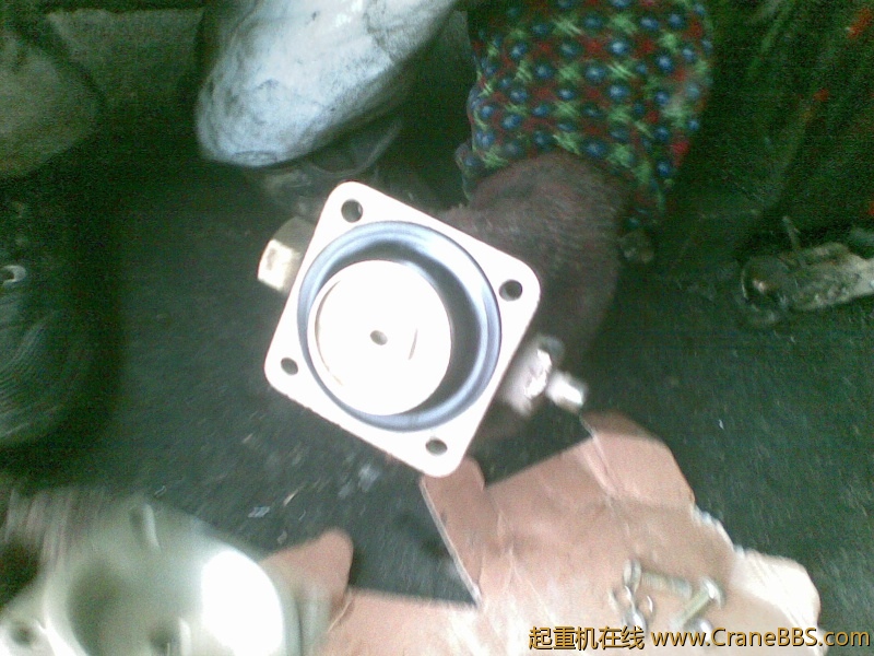 20110227.jpg
