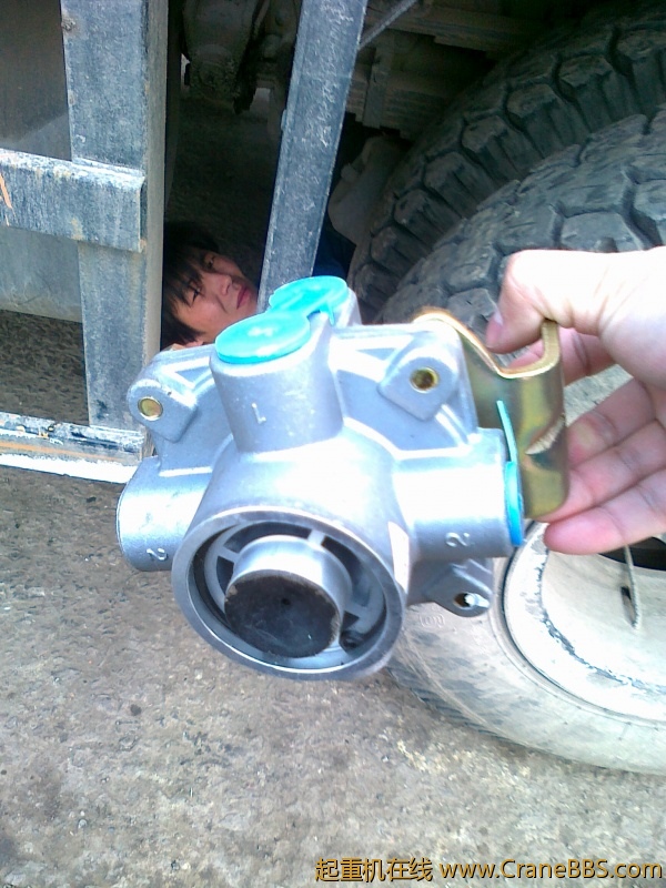 20110218599.jpg