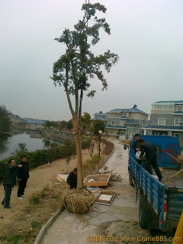 20110226639.jpg