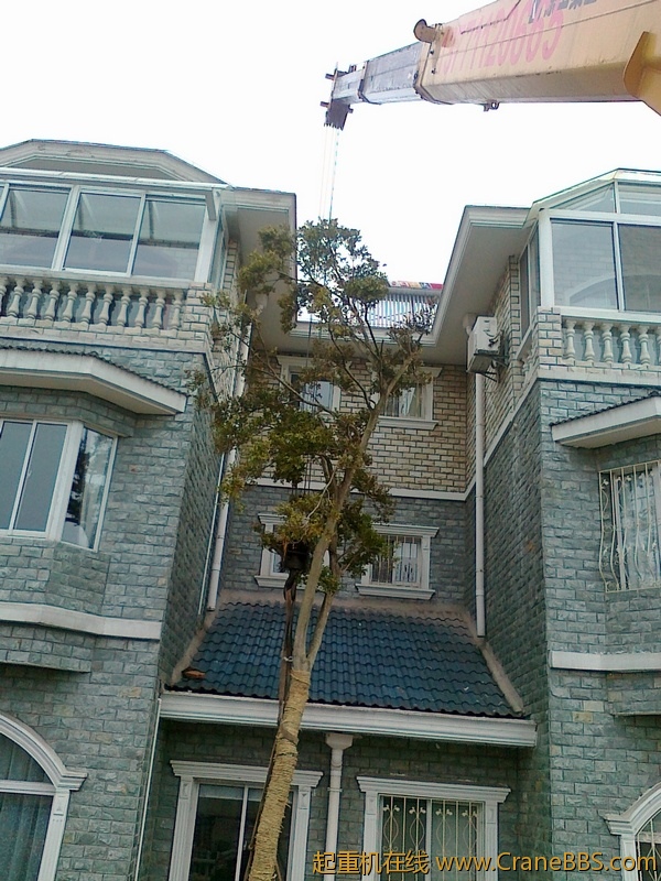 20110226641.jpg
