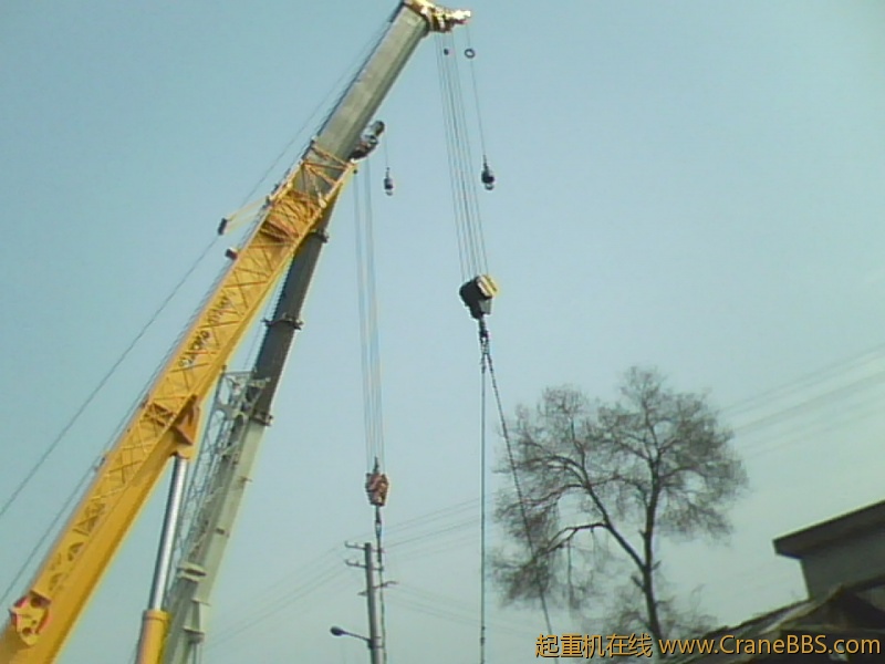 IMG0186A.jpg