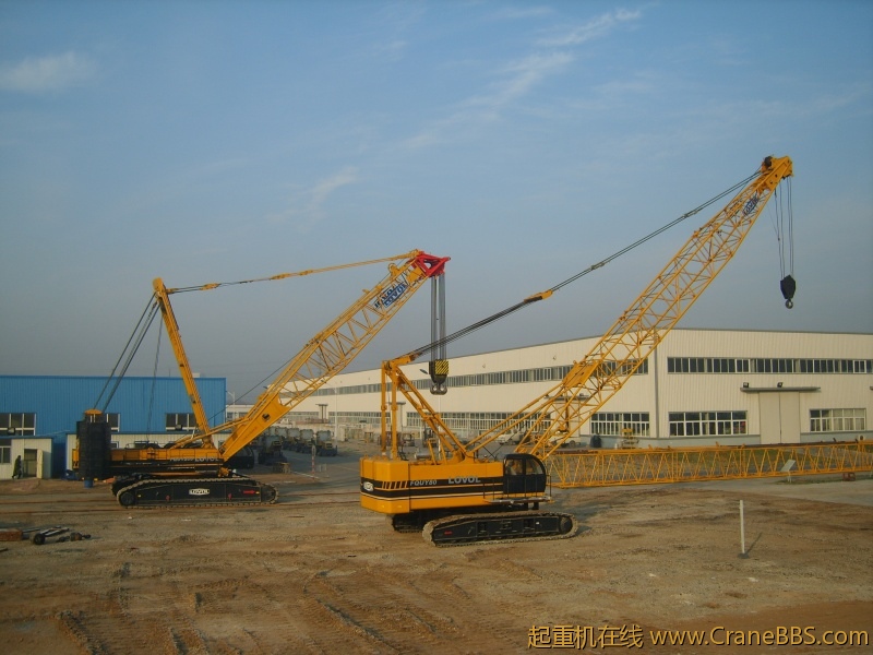 S8000228.JPG