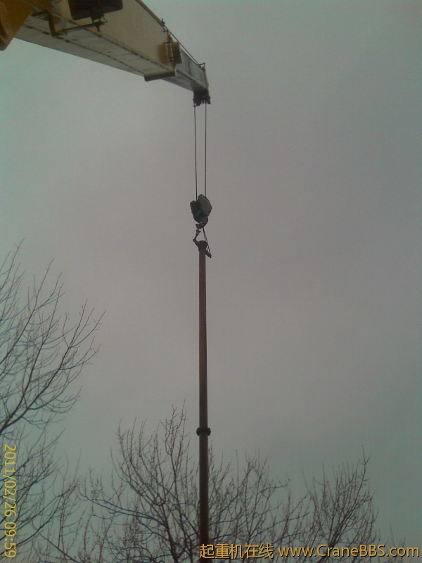 IMAG0206.jpg