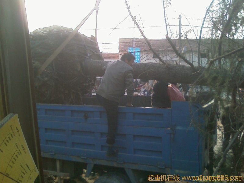 IMAG0212.jpg