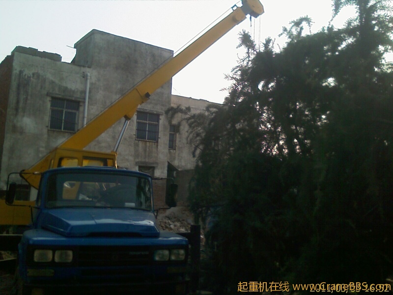 IMAG0214.jpg