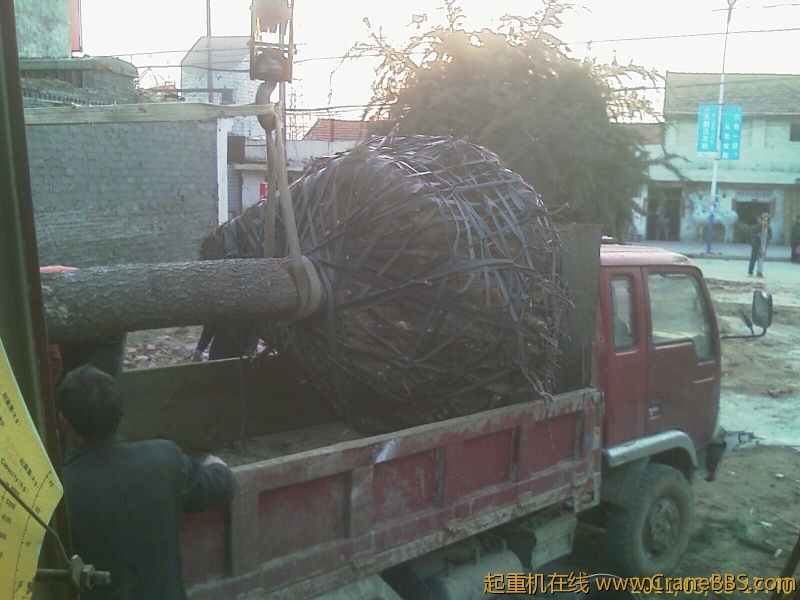 IMAG0215.jpg