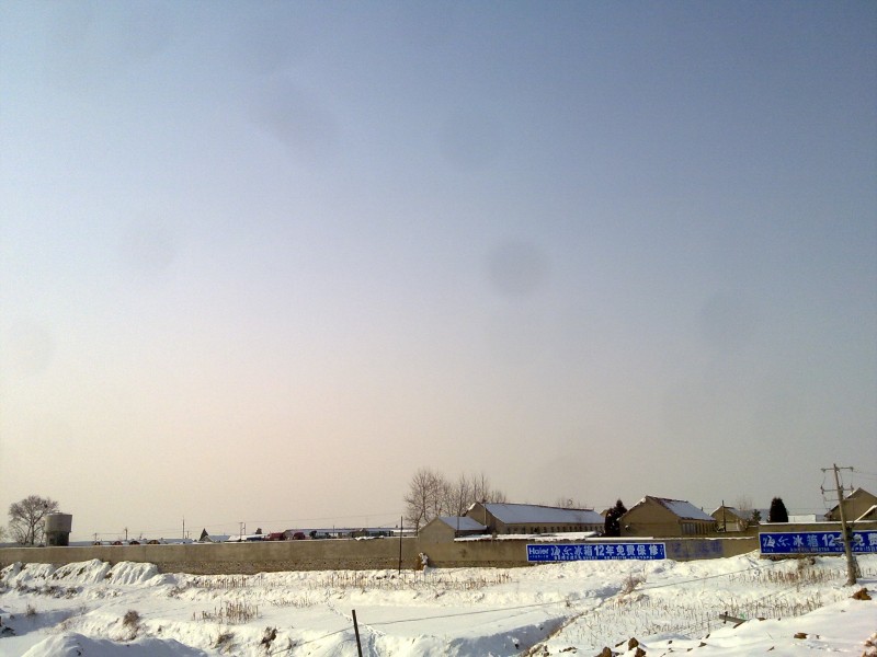 20101217524.jpg