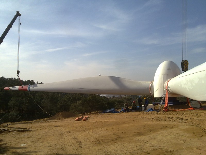 20101220529.jpg
