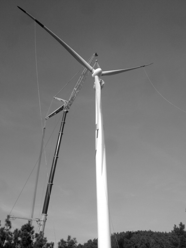 20101220541.jpg