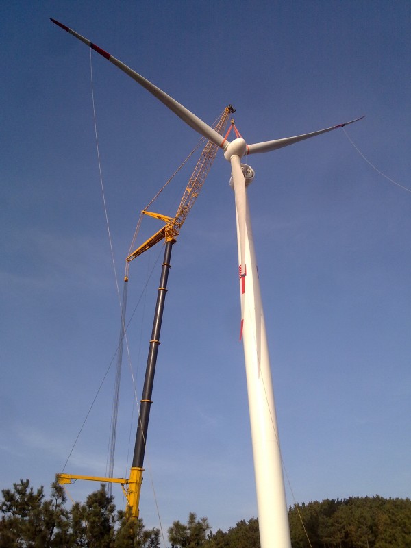 20101220542.jpg