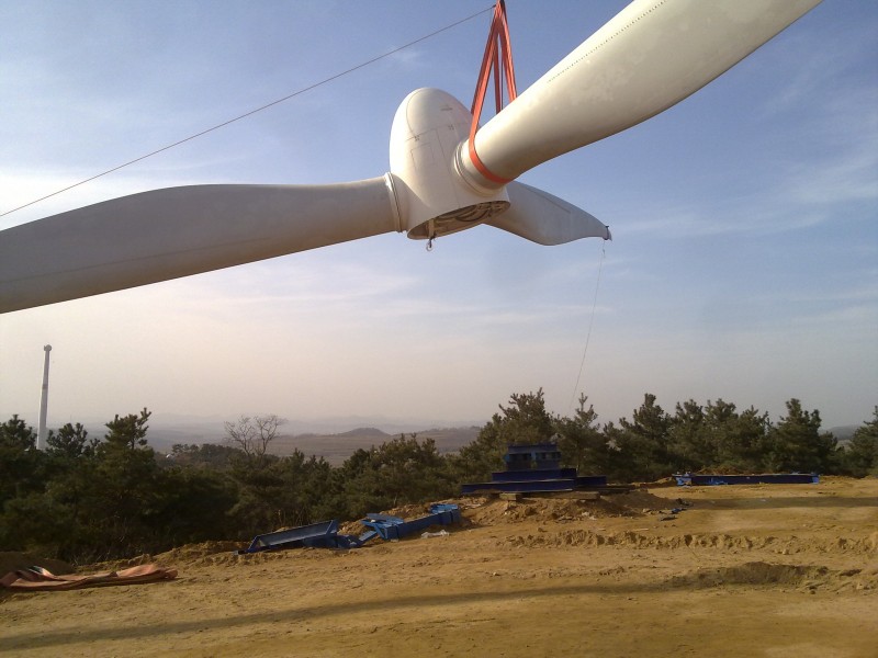 20101220534.jpg