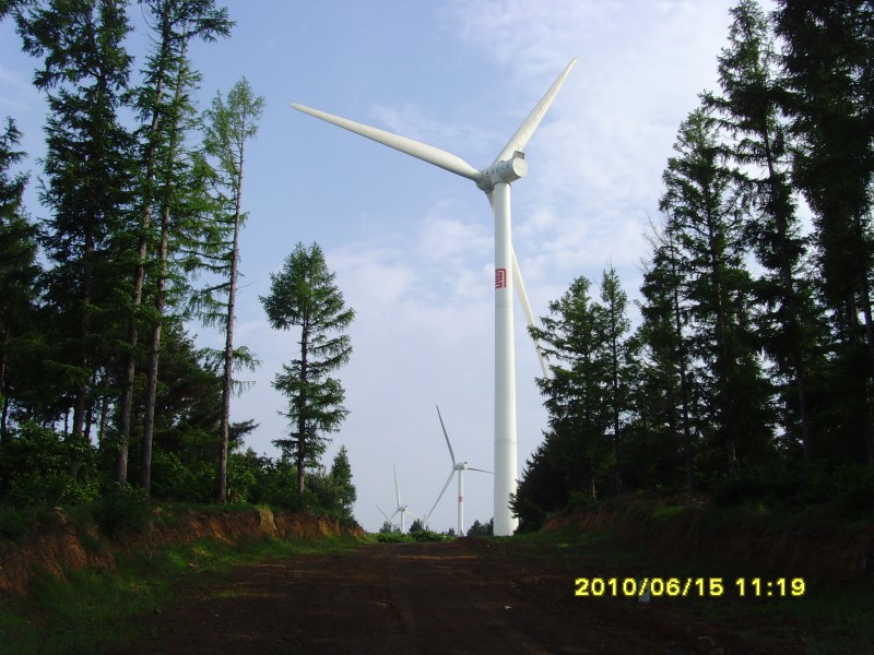 SNV30801.JPG