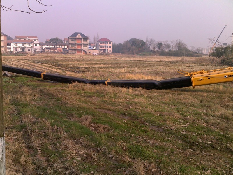 20101221184.jpg