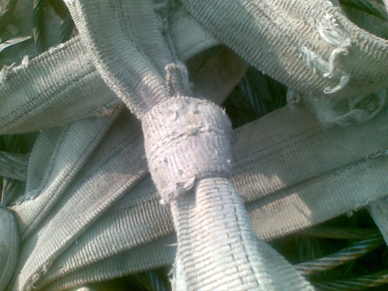 20101222(001).jpg