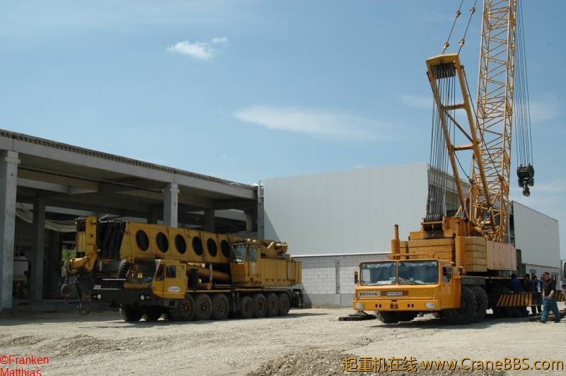 09mapigrove_03.jpg