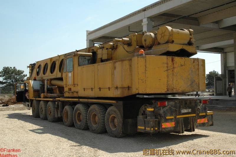09mapigrove_15.jpg