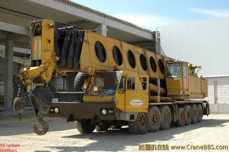 09mapigrove_16.jpg